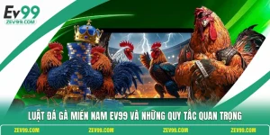 Luật Đá Gà Miền Nam