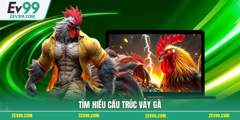 Tìm hiểu cấu trúc vảy gà